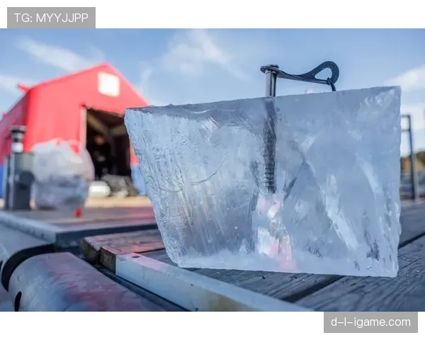 埃琳·安德森训练完直接啃冰块？这自律程度我连她喝水的杯子都配不上